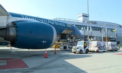 Vietnam Airlines thoát khỏi tình trạng âm vốn chủ sở hữu