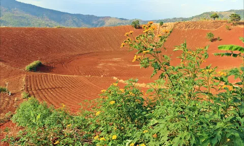 Dấu ấn xanh anh hùng trên đất đỏ biên giới Tây Nguyên