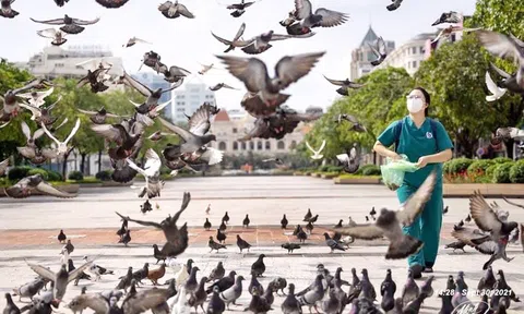 Thành phố mang tên Bác Hồ kính yêu sẽ mạnh mẽ hơn sau giông bão