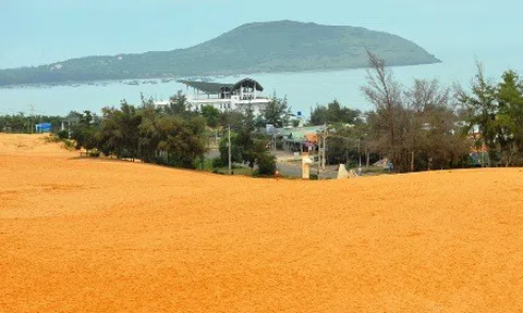 Bình Thuận tăng cường quảng bá điểm đến trên tài nguyên mạng xã hội