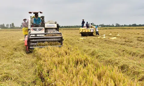 Kiên Giang: Nỗ lực phấn đấu tăng trưởng chung của tỉnh đạt 0,57%