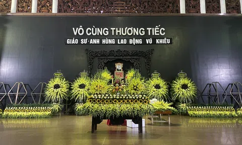 Giáo sư, Anh hùng Lao động Vũ Khiêu về với đất mẹ!