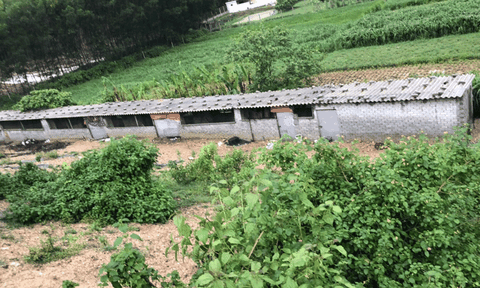 Xã Diễm Lâm, huyện Diễn Châu: Sai phạm ở đập Đồng Rậm kéo dài, chính quyền có bất lực?