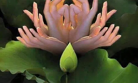 Làm điều ác mà đúng sẽ sinh điều thiện - Làm việc thiện không đúng sẽ sinh điều ác