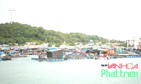 Kiên Giang: Tháo gỡ khó khăn, phục hồi và phát triển kinh tế