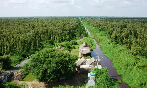 Triển khai chính sách giao đất giao rừng để rừng có chủ