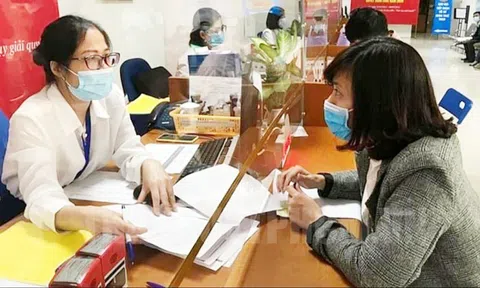 TPHCM điều chỉnh danh mục thủ tục hành chính đặc biệt, cấp bách được tiếp nhận, trả kết quả trực tiếp