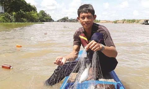 Ði "săn" cá đồng: “Ăn đi! Xứ đồng mình chẳng có gì ngoài con cá, con cua, ngon không gì sánh được”