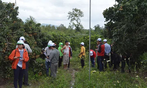Đắk Lắk: Phê duyệt Đề án Phát triển du lịch sinh thái nông nghiệp gắn với xây dựng nông thôn mới