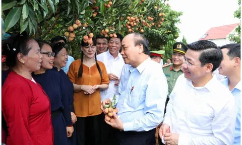 Khát vọng phát triển nông nghiệp Việt Nam theo hướng chuyển đổi mô hình tăng trưởng