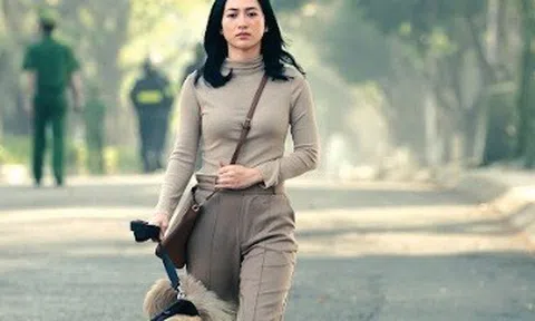 Hướng tới Liên hoan phim Việt Nam lần thứ XXII: Một mùa “Bông sen” mới