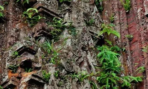 Đầu tư gần 6 tỉ đồng bảo tồn, tu bổ tháp Nam di tích tháp Chăm Khương Mỹ