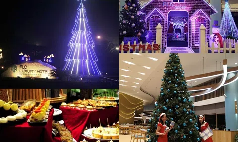 Quy Nhơn sẵn sàng mùa lễ hội cuối năm: Giữ vững “vùng xanh”, nhiều sản phẩm du lịch mới