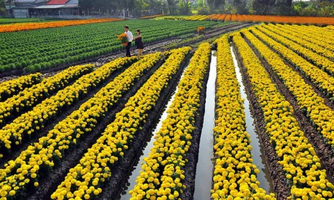 Long An: Nỗ lực biến nguy thành cơ, từng bước xây dựng nền tảng cho du lịch phục hồi