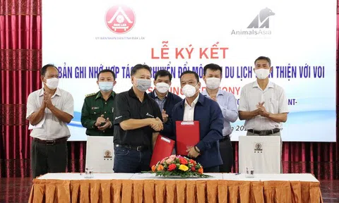 Hợp tác triển khai mô hình du lịch thân thiện với voi tại Đắk Lắk