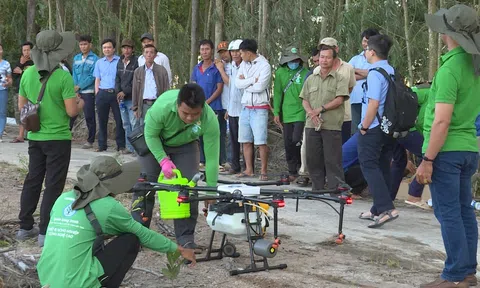 Kiên Giang: Phát triển kinh tế trang trại nâng giá trị nông sản