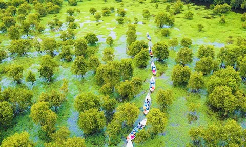 Khôi phục, phát triển du lịch đồng bằng sông Cửu Long sau thời gian dài “ngủ đông” bởi đại dịch Covid-19