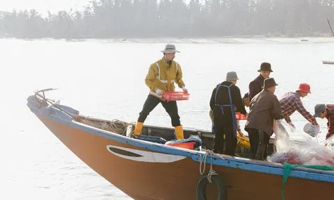 “Mang tiền về cho mẹ” và mang yêu thương về cho gia đình