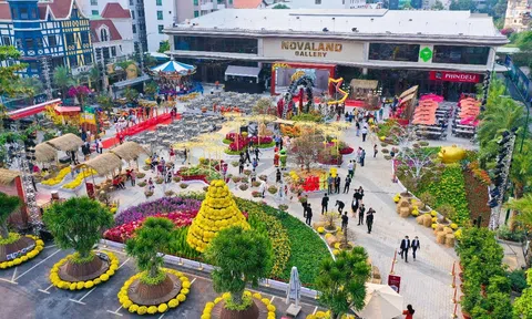 Giải mã sức hút “vạn người mê” của Hội hoa xuân 2022/ Tết Festival 2022 tại Novaland Gallery