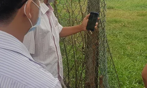 Chuyện chưa kể về vụ án “Xúc phạm nhân phẩm và danh dự người khác”: Tranh chấp lối đi chung, mất "tình làng nghĩa xóm"