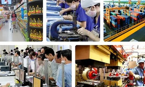 Hỗ trợ khoảng 10.000 doanh nghiệp khu vực tư nhân kinh doanh bền vững