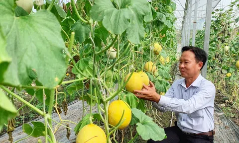 Phê duyệt Đề án “Phát triển du lịch nông nghiệp trên địa bàn thành phố Cần Thơ giai đoạn 2021-2025, tầm nhìn đến năm 2030”