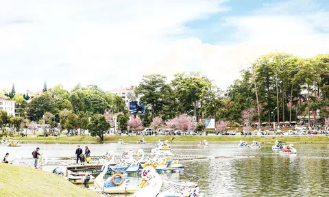 Nhiều chương trình hoạt động phục hồi ngành Du lịch trong năm 2022