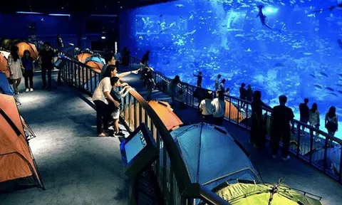 Du lịch khen thưởng: Tái tạo những trải nghiệm ấn tượng tại Đảo quốc Sư tử