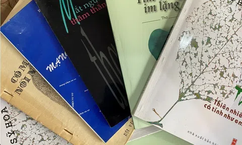 Bút pháp triết lý “Muối mặn gừng cay” trong thơ Bùi Sĩ Hoa