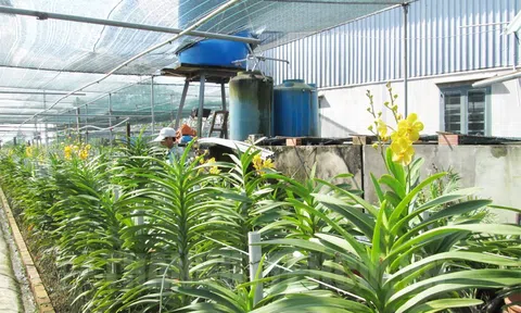 TPHCM: Đến năm 2030, diện tích sản xuất trồng trọt hữu cơ đạt khoảng 60-80ha