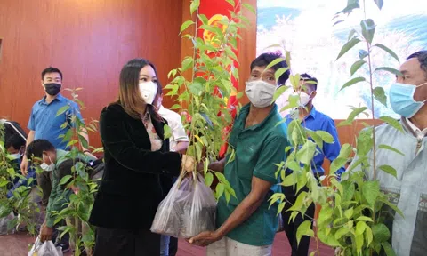 Dự án "Mây Hồng - Phủ hồng đồi xanh": Khoác tấm áo hoa mới cho huyện Khánh Sơn