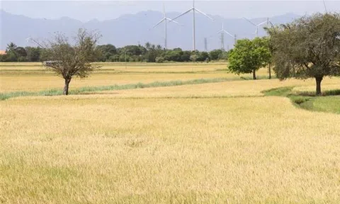Phát động cuộc thi ảnh "Ninh Thuận - Miền di sản", quảng bá hình ảnh Ninh Thuận tới du khách trong và ngoài nước