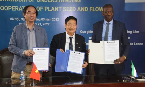 Triển vọng hợp tác Việt Nam - Sierra Leone trong lĩnh vực nông nghiệp và phát triển nông thôn