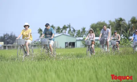 Khách quốc tế đến Việt Nam tăng 89,1% so với cùng kỳ năm 2021