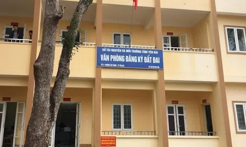 Yên Bái: Bắt 3 cán bộ cấu kết lập khống hồ sơ để chiếm đoạt tiền bồi thường thu hồi đất