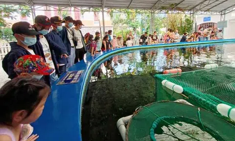 Khánh Hòa đón hơn 55 nghìn lượt khách dịp lễ Giỗ Tổ Hùng Vương