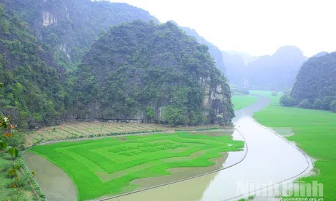 Ninh Bình: Tổ chức tuần du lịch Sắc vàng Tam Cốc - Tràng An năm 2022