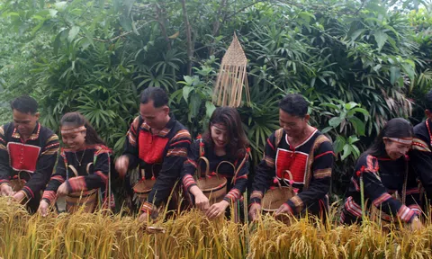 Ngày Văn hóa các dân tộc Việt Nam: Mong muốn lan tỏa những giá trị tốt đẹp của văn hóa