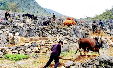 Hà Giang: Phát triển du lịch trên nền tảng di sản văn hóa, phát triển ngành DL trở thành kinh tế mũi nhọn