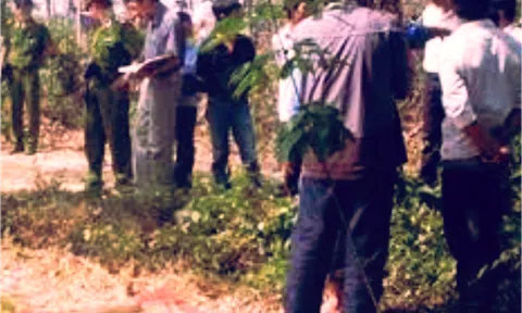 Nghệ An: Người mẹ bị sát hại dưới tay đứa con bất hiếu