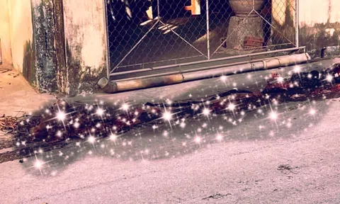 Nghệ An: Tai nạn giao thông khiến người phụ nữ tử vong thương tâm