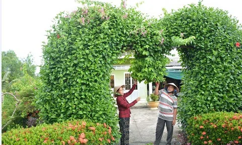 Kiên Giang: Vĩnh Thuận giữ gìn cảnh quan môi trường xanh - sạch -  đẹp và an toàn