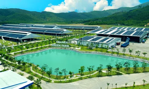 Đầu tư ESG: Thế giới đang sôi sục, nhà đầu tư Việt đã hiểu đến đâu?