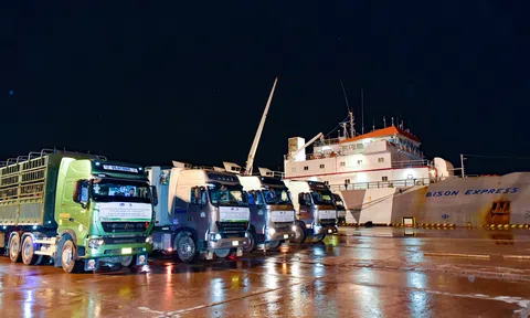 Đàn bò sữa 1000 con được Vinamilk nhập khẩu cho trang trại tại Lào