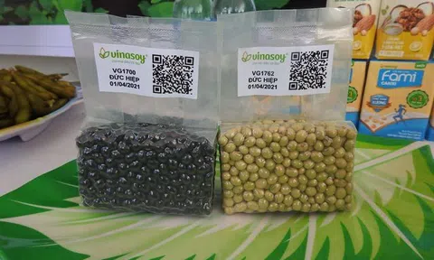Sở hữu hơn 1.500 nguồn gene đậu nành, Vinasoy hướng đến phát triển vùng nguyên liệu bền vững