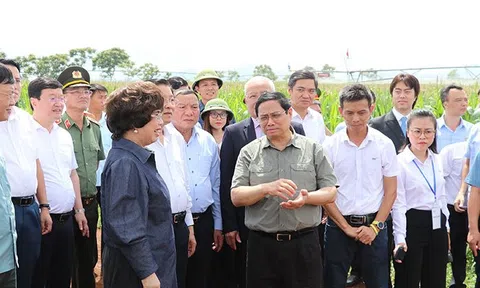 Thủ tướng Chính phủ Phạm Minh Chính thăm và làm việc tại Tập đoàn TH