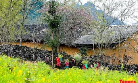 Bảo tồn, phát huy văn hóa truyền thống dân tộc Mông và Hà Nhì gắn với phát triển du lịch