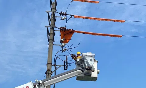 Công ty Điện lực Nghệ An triển khai đồng loạt nhiều giải pháp đảm bảo cấp điện mùa nắng nóng 2022