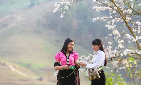 Hoa ban Điện Biên: Một thế giới ẩm thực phong phú đến ngỡ ngàng của người dân tộc Thái ở vùng cao Tây Bắc