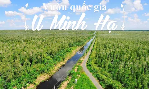 Du lịch Cà Mau: Mới mẻ, trẻ trung và thu hút du lịch với nét văn hóa hiếu khách